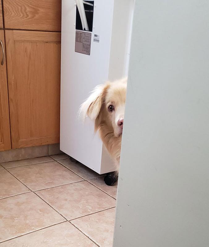 ������ ��������