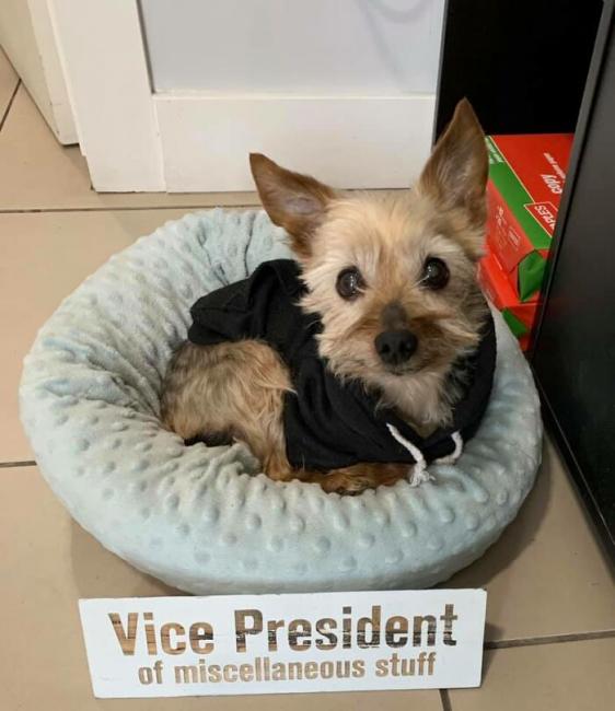 ������ ��������