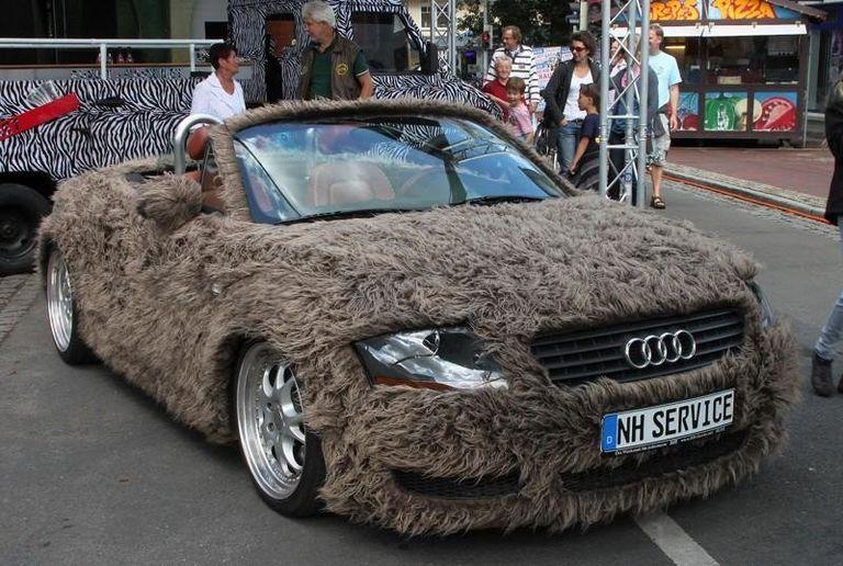 ������ ��������