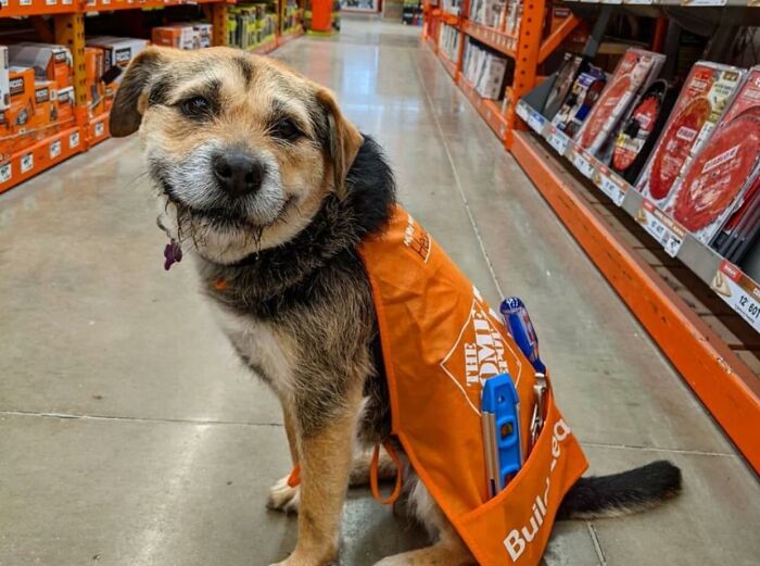 ������ ��������