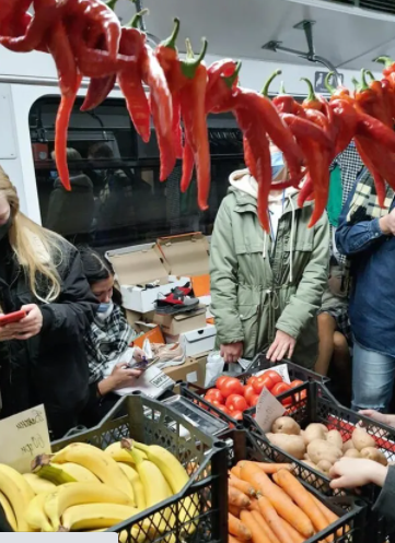 ������ ��������