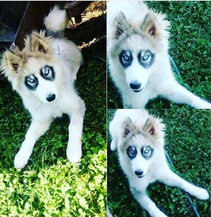 ������ ��������