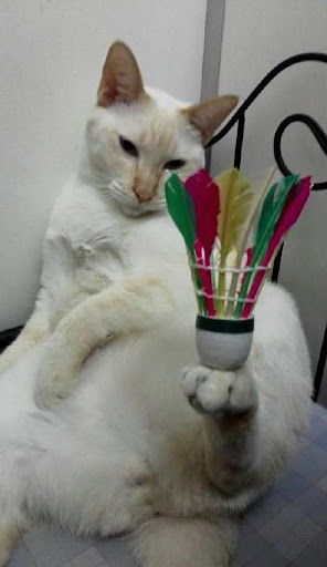 ������ ��������