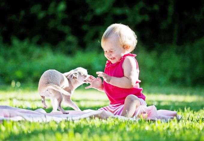 ������ ��������