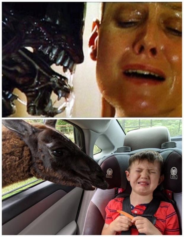 ������ ��������