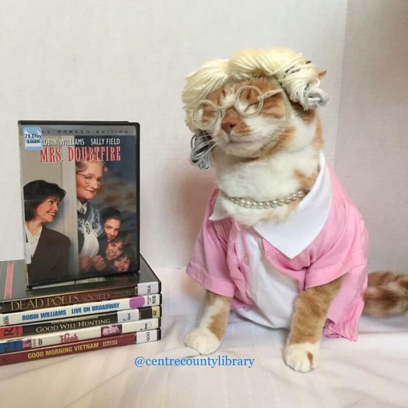 ������ ��������