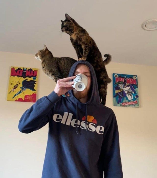 ������ ��������