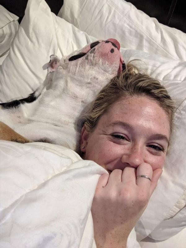 ������ ��������