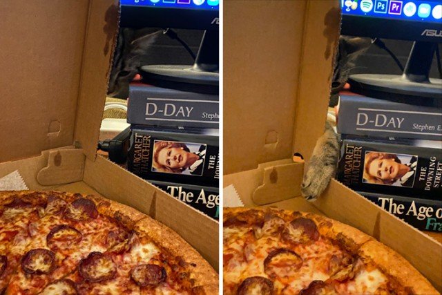 ������ ��������