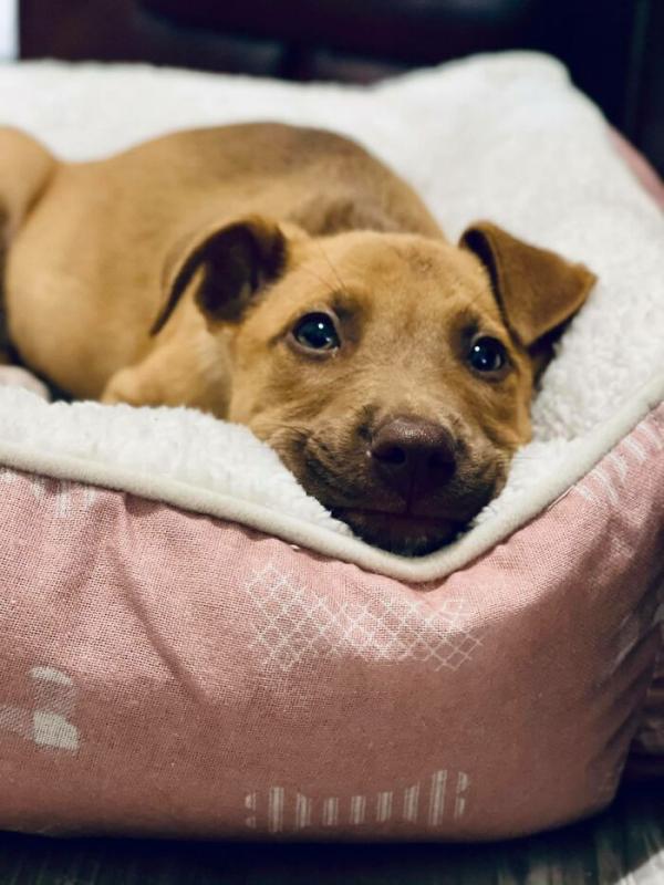 ������ ��������