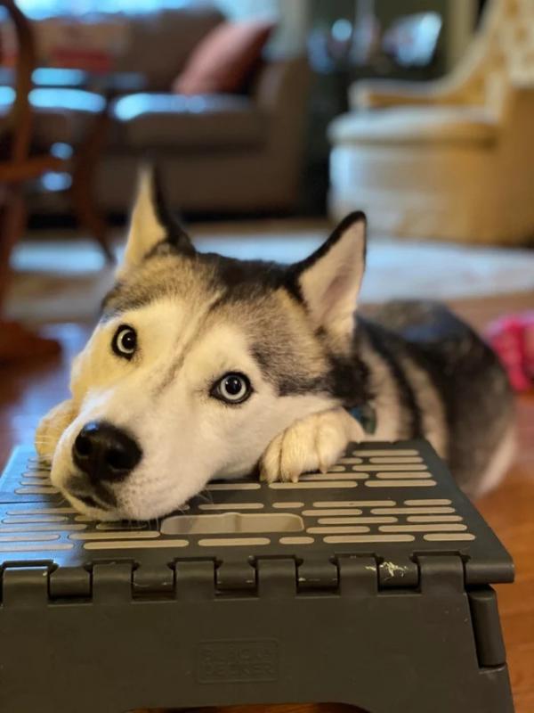 ������ ��������