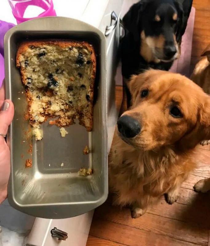 ������ ��������