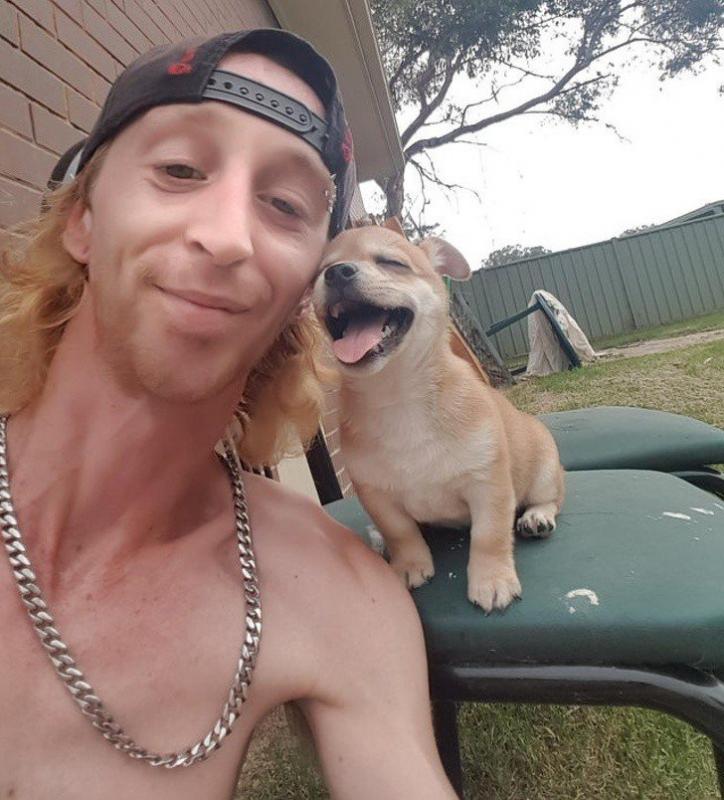 ������ ��������