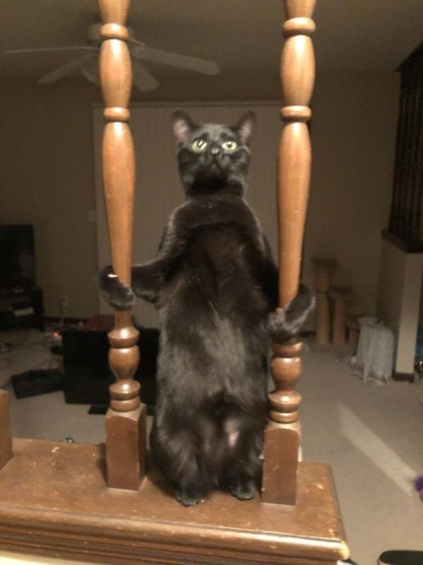 ������ ��������