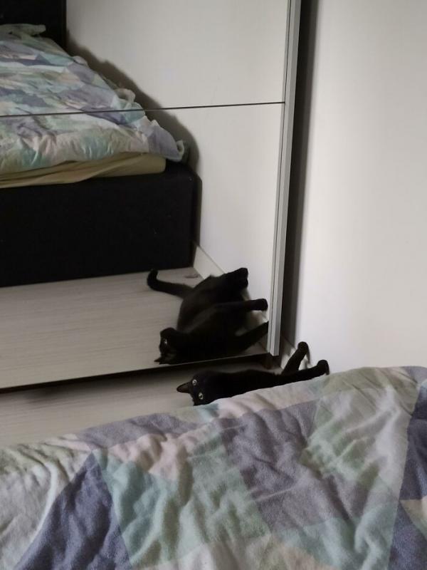 ������ ��������