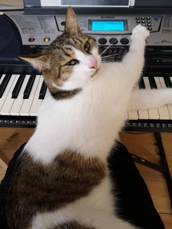 ������ ��������