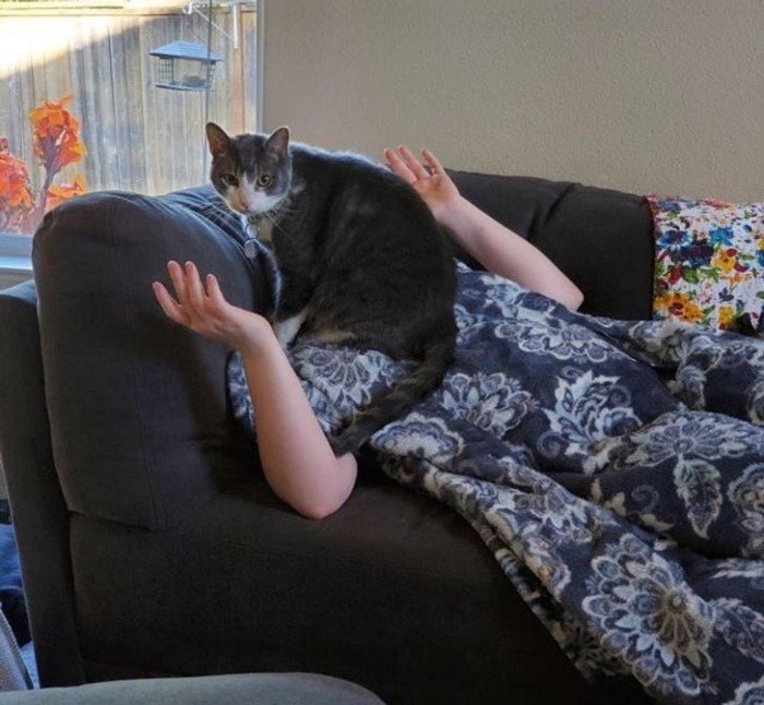 ������ ��������