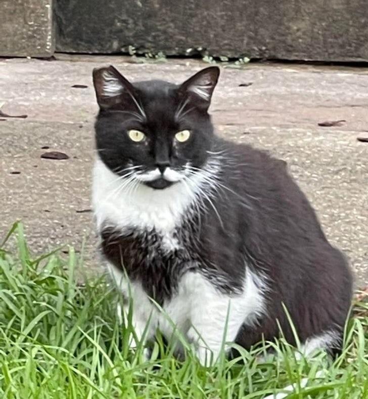 ������ ��������