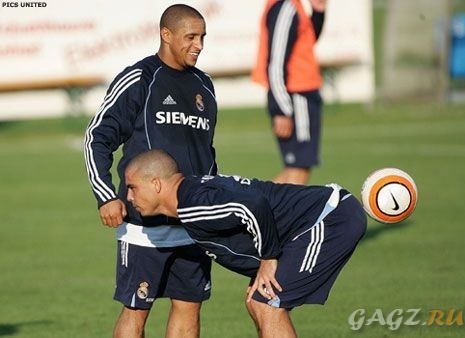 ������ ��������