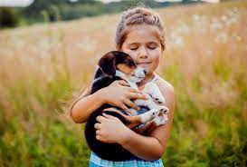 ������ ��������