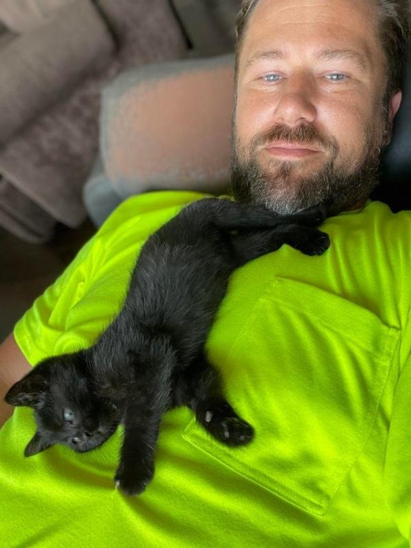 ������ ��������