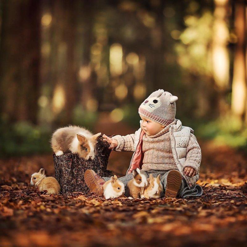 ������ ��������