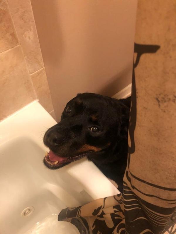 ������ ��������