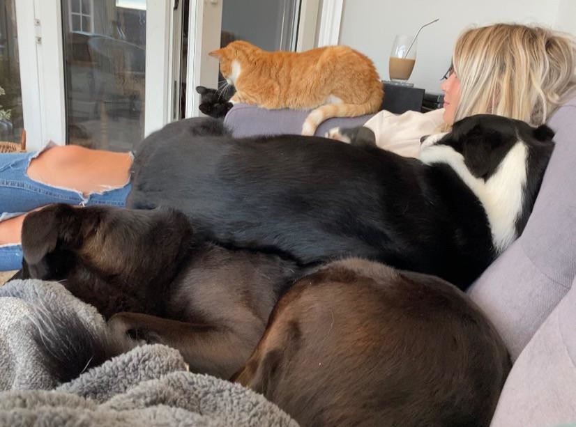 ������ ��������