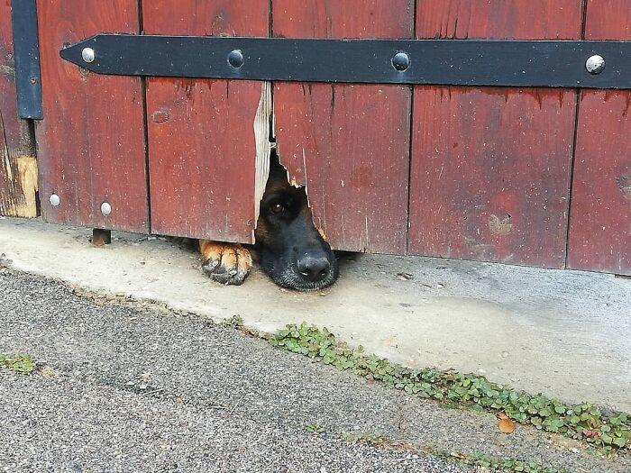 ������ ��������