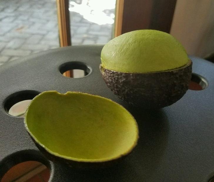 ������ ��������