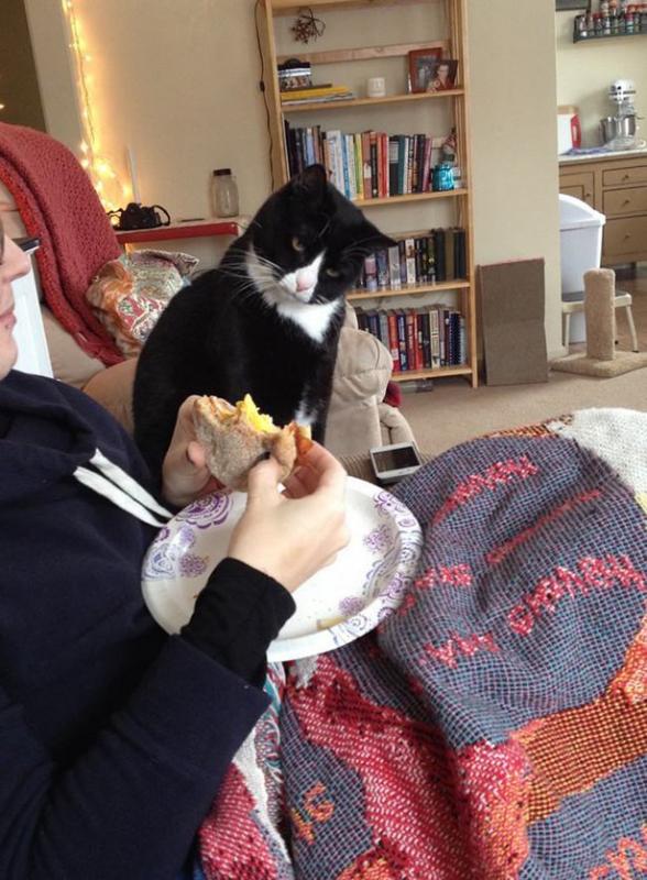 ������ ��������