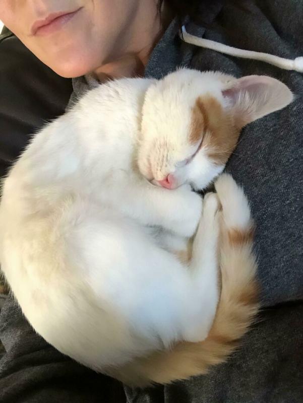 ������ ��������