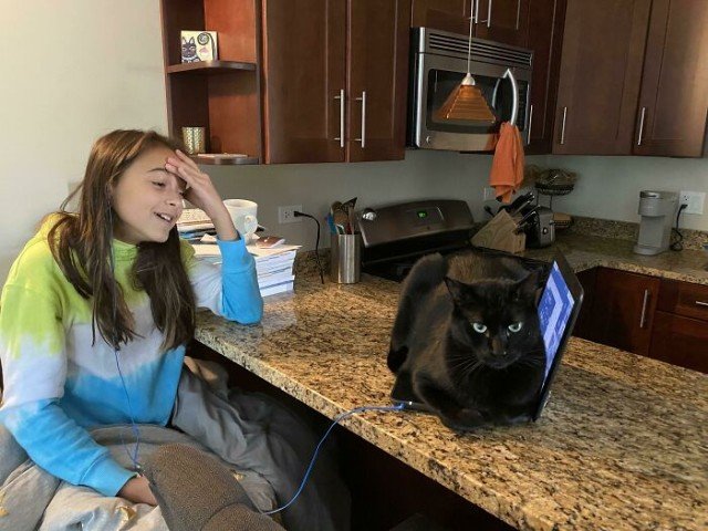 ������ ��������