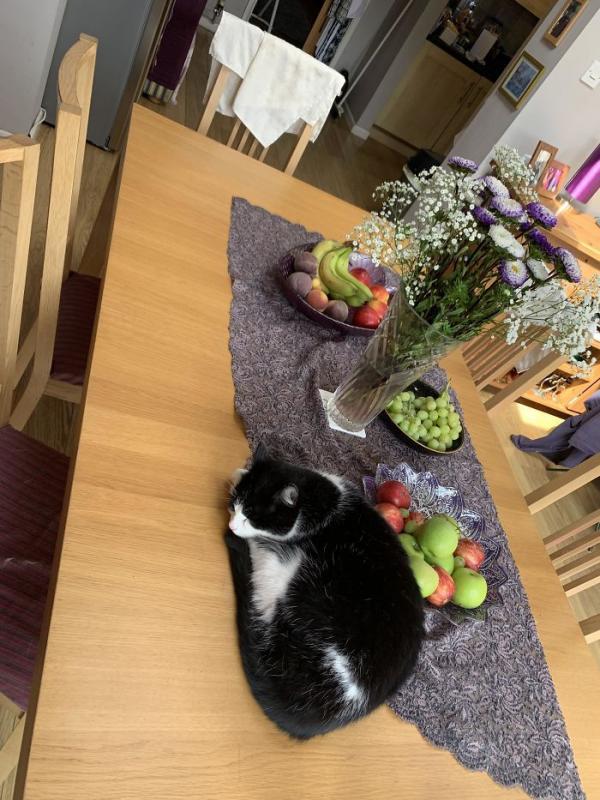 ������ ��������