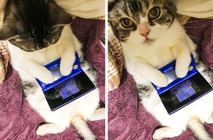 ������ ��������