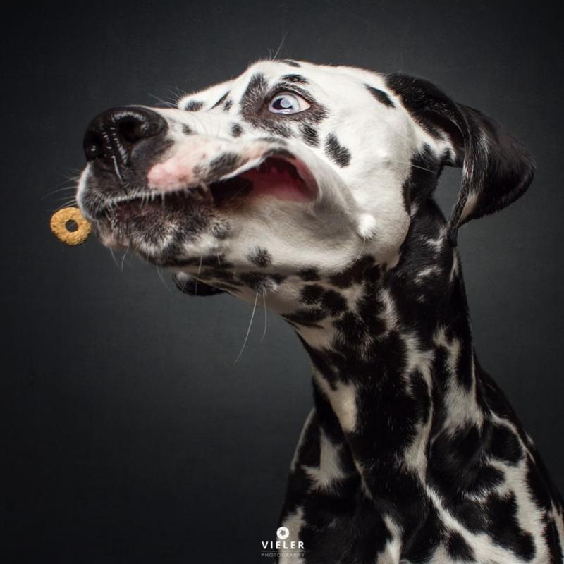 ������ ��������