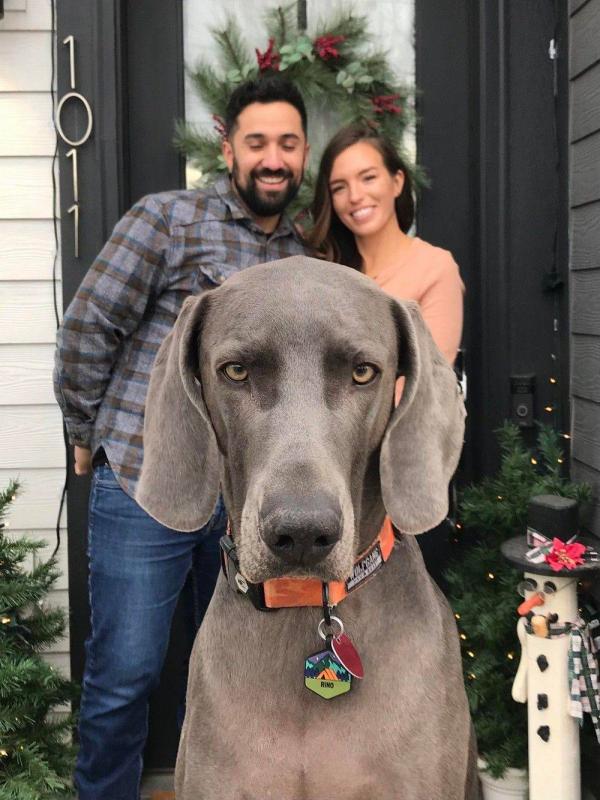 ������ ��������