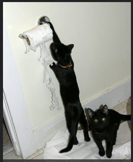 ������ ��������