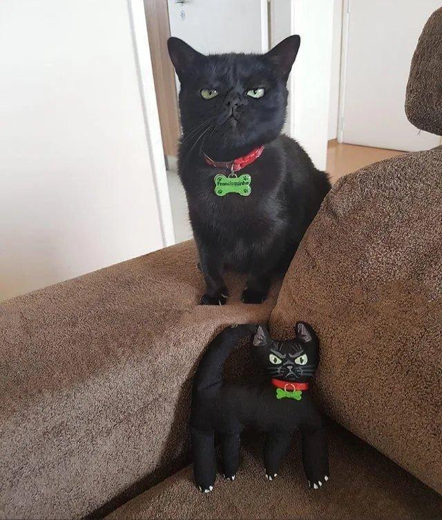 ������ ��������