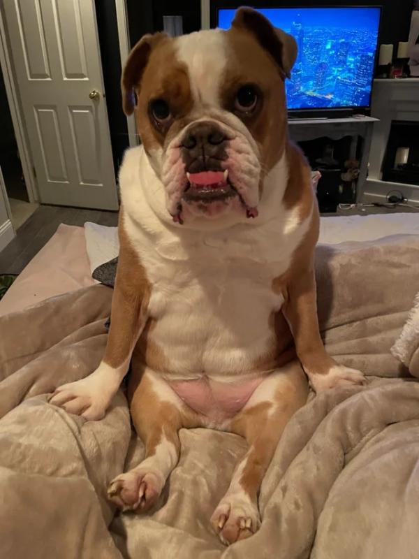 ������ ��������