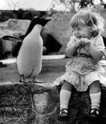 ������ ��������