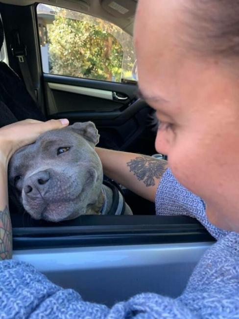 ������ ��������