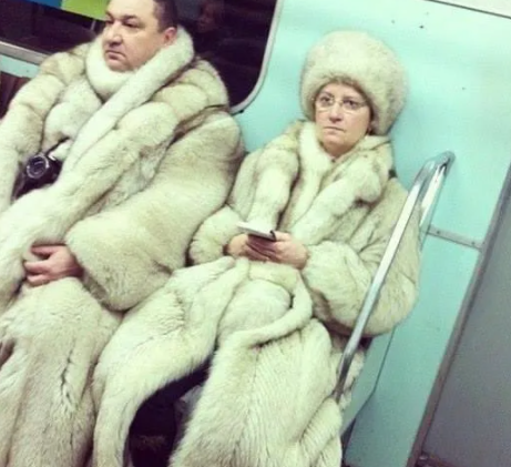 ������ ��������