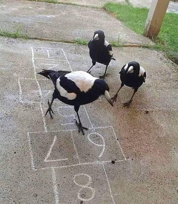 ������ ��������