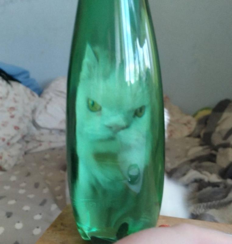 ������ ��������