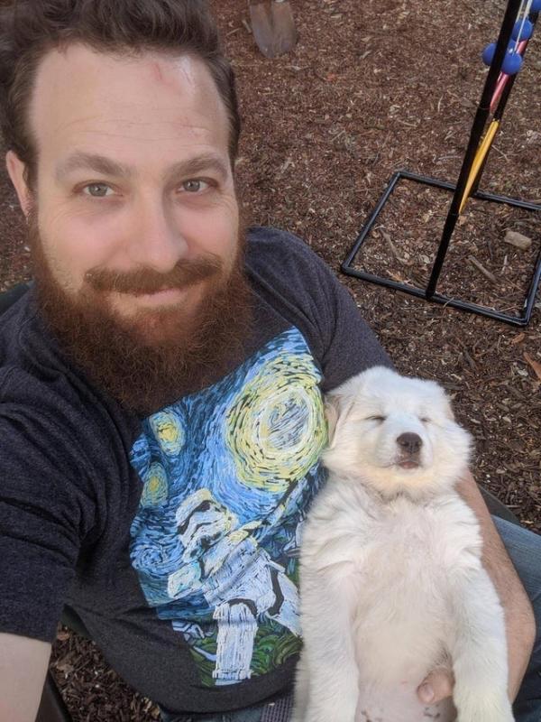 ������ ��������