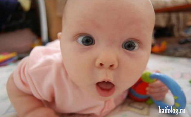 ������ ��������