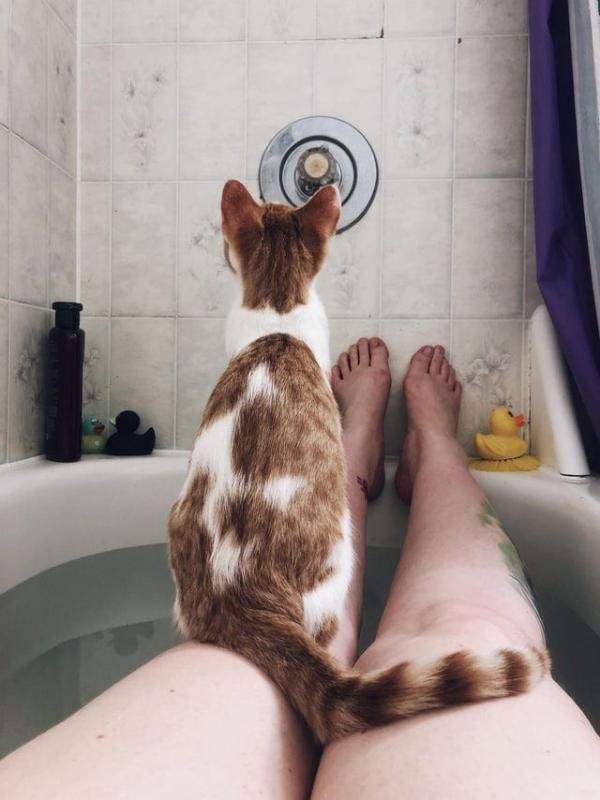 ������ ��������