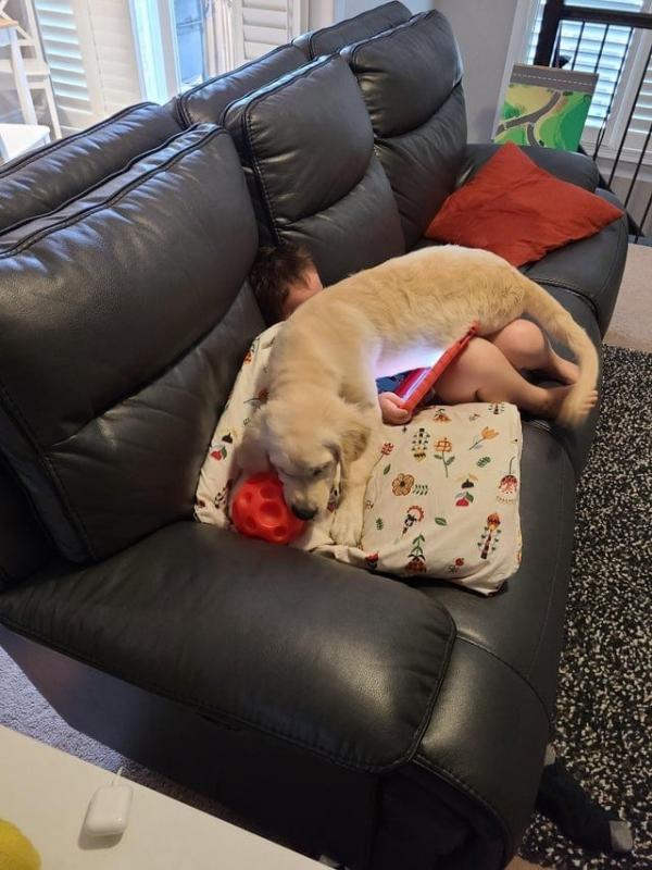 ������ ��������