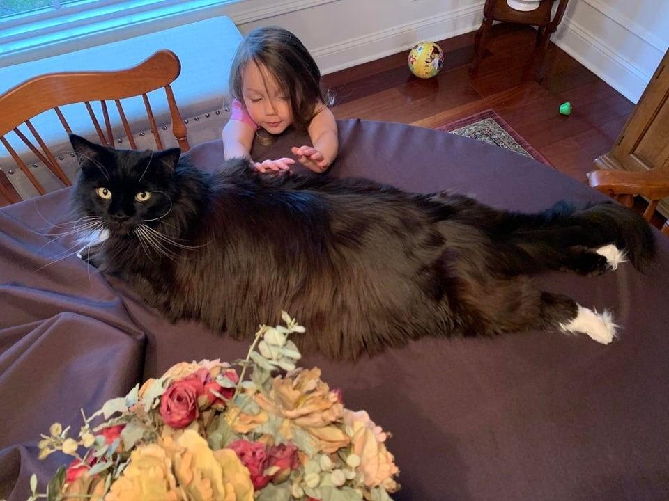 ������ ��������